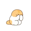 Gatito lindo mov 19