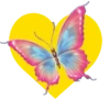 Mariposas y flores en corazón amarillo mov 18