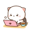 MOCHIS CAT Extra"Y" MOV 14