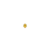 Yellow chicken mov 13