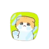 Gatito lindo mov 20