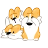 Perro gracioso mov 19