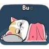 Buenas noches 4 MOV. 19