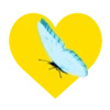 Mariposas y flores en corazón amarillo mov 19