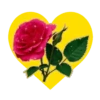 Flores en corazón amarillo mov 16
