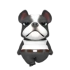 Funny dog 1 mov 14