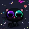 Black cat 2y relleno 20