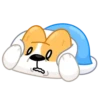 Perro gracioso mov 20