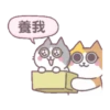 辛卡米克屁貓萌萌全家福 14