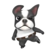 Funny dog 1 mov 16