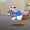 Donald Duck 17