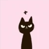 Black cat 2y relleno 23