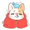 Adorable perro mov 19