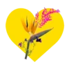 Mariposas y flores en corazón amarillo mov 24