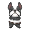 Funny dog 1 mov 20