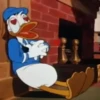 Donald Duck 19
