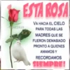 Día de la Madre 1 Movi 20