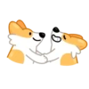 Perro gracioso mov 22