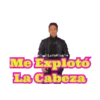 Para todos los días 44 en mov 20