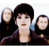 Crepúsculo Mov 22