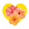 Flores en corazón amarillo mov 24