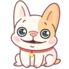 Adorable perro mov 21