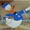 Donald Duck 22