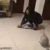 Meme Simpático . mov 23