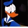 Donald Duck 23