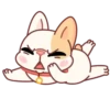Adorable perro mov 24