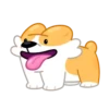 Perro gracioso mov 23