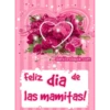 Día de la Madre 2 Movi.zip 22
