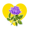 Flores en corazón amarillo mov 26