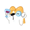 Perro gracioso mov 24