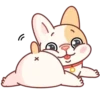 Adorable perro mov 25