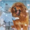 Niños 5 mov 25