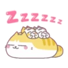 辛卡米克屁貓萌萌全家福 20