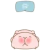 Baby PIG . mov 23