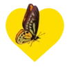 Mariposas y flores en corazón amarillo mov 26