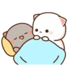 MOCHIS CAT Extra"Y" MOV 21