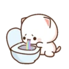 MOCHIS CAT Extra"Y" MOV 22