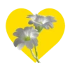 Mariposas y flores en corazón amarillo mov 28