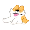 Perro gracioso mov 26