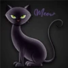Black cat 2y relleno 28