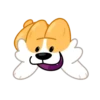 Perro gracioso mov 27