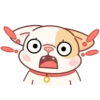 Adorable perro mov 29