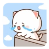 MOCHIS CAT Extra"Y" MOV 24