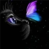 Black cat 2y relleno 30