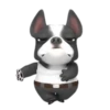 Funny dog 1 mov 24