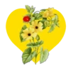 Mariposas y flores en corazón amarillo mov 29
